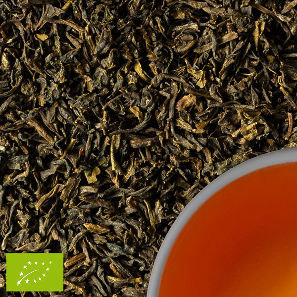 Teehaus Shila, Bio Darjeeling Grüntee